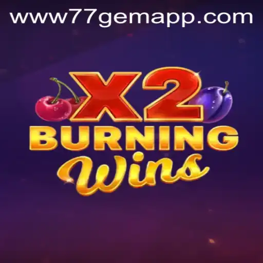 Exploring the Features and Mechanics of BurningWinsX2